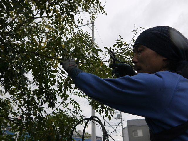 富士市の庭師