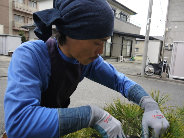 庭の手入れ